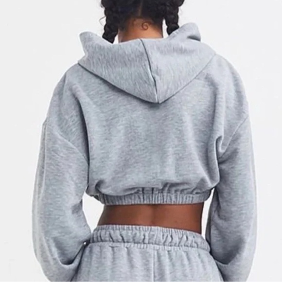 For Love And Lemons Light Gray Cropped Hoodie - Picture 3 of 7